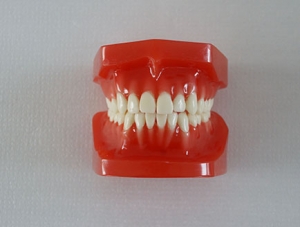 ZM-DSC02283_E8 Orthodontic classification two-color