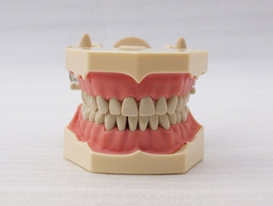 ZM-DSC02392_A7-01 SF standard model (black teeth)