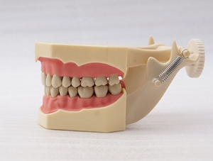 ZM-DSC02393_A7-01 SF standard model (black tooth)