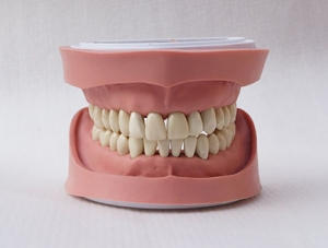 ZM-KAVO model_A4 K-type tooth model
