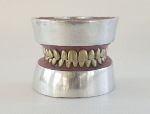 ZM-L15_E11 metal tooth extraction model