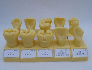 Preparation of ZM-S19B_G10 quadruple large cavities
