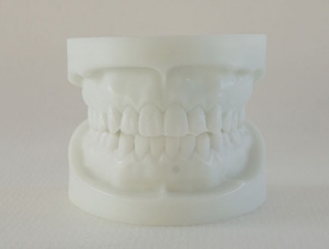 ZM-S22_Q3 white corundum tooth