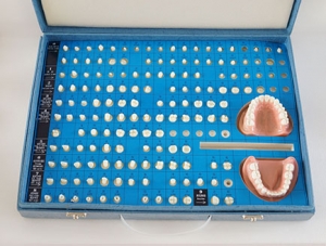 ZM-X3_G14 tooth preparation model