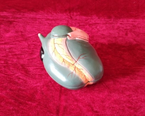 sheep stomach