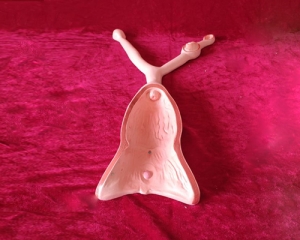 dog uterus