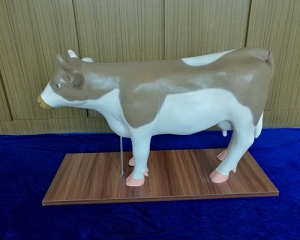 cow model