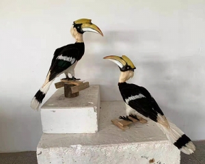 Simulated Hornbill