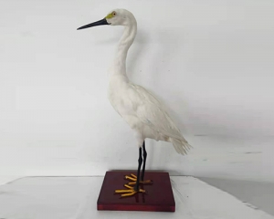 世界各地Simulated Egret