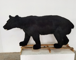 世界各地Longqishan simulated black bear